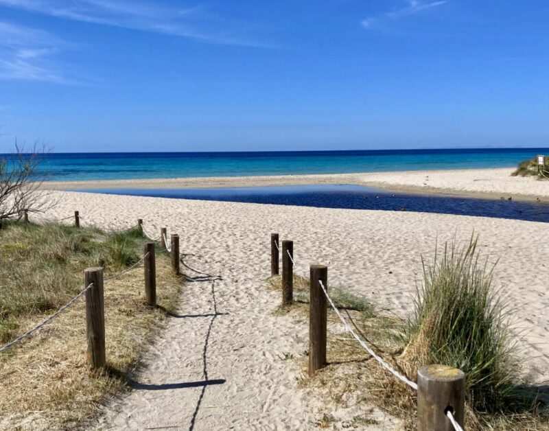 Binilau menorca Son Bou (3)